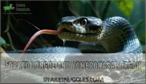 forked tongue and vomeronasal organ forked tongue and vomeronasal organ