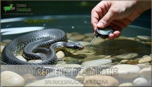 frequency of boa baths