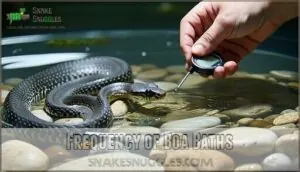 frequency of boa baths frequency of boa baths