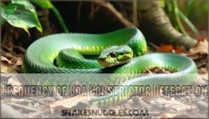 frequency of boa constrictor defecation