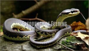 frequency of feeding