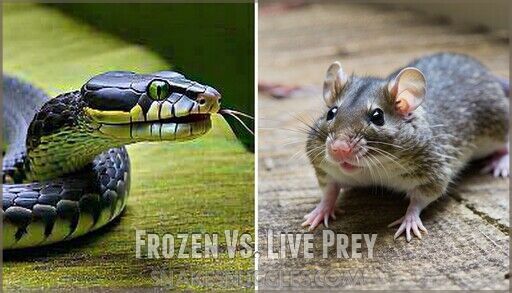 Probiotics for Healthy Snake Digestion: Expert Care Guide & Tips