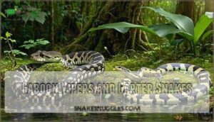 gaboon vipers and garter snakes