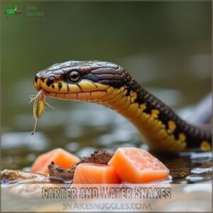 garter and water snakes