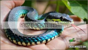 garter snake behavior