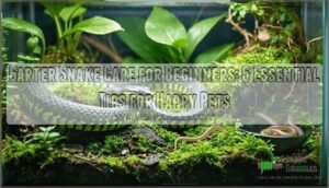 garter snake care for beginners