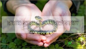 garter snake handling and safety
