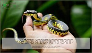 garter snake ownership