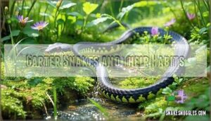 garter snakes and their habits
