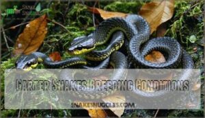 garter snakes breeding conditions