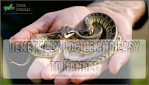 generally docile and easy to handle