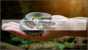 gentle temperament