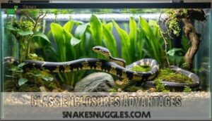glass enclosures advantages