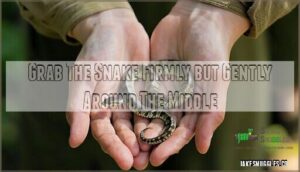 grab the snake firmly but gently around the middle