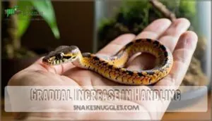 gradual increase in handling gradual increase in handling