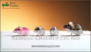 gradually increasing prey size gradually increasing prey size