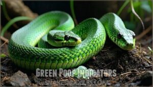 green poop indicators