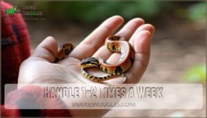 handle 1-2 times a week