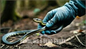 handling a dead snake