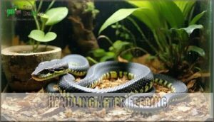handling after feeding