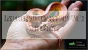 handling and interacting with your snake