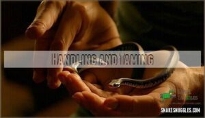 handling and taming