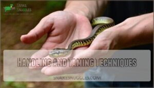 handling and taming techniques