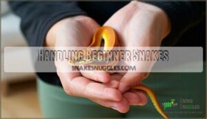 handling beginner snakes