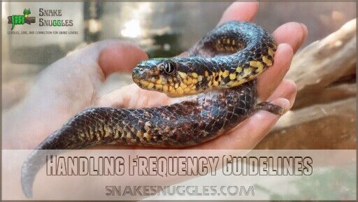 How Often to Handle Ball Pythons? Tips for Safe & Happy Interactions