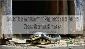 have the ability to squeeze through very small spaces
