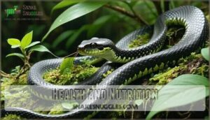 health and nutrition