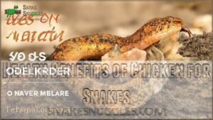 health benefits of chicken for snakes