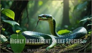 highly intelligent snake species