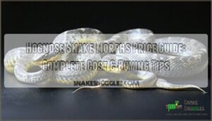 hognose snake morphs price guide