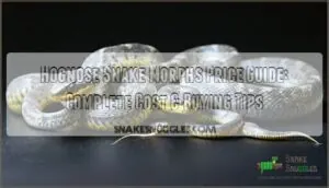 hognose snake morphs price guide