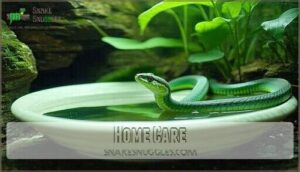 home care