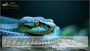how do snakes see color