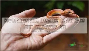 how do snakes show affection how do snakes show affection