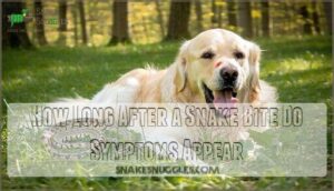 how long after a snake bite do symptoms appear