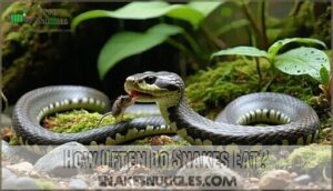 how often do snakes eat