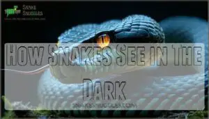 how snakes see in the dark