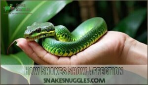 how snakes show affection
