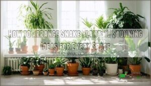 how to arrange snake plant