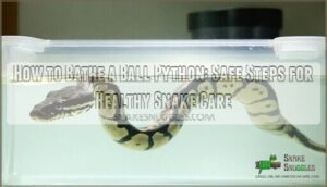 how to bathe a ball python