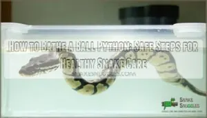 how to bathe a ball python how to bathe a ball python