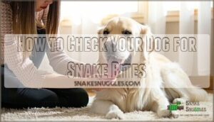 how to check your dog for snake bites