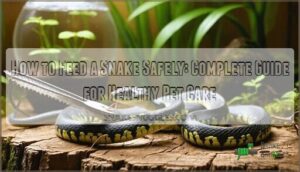 how to feed a snake safely
