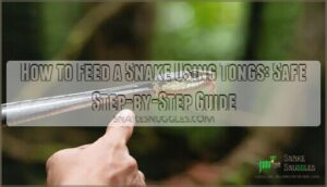 how to feed a snake using tongs