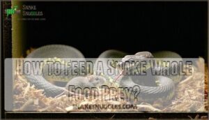 how to feed a snake whole food prey
