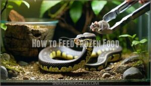 how to feed frozen food